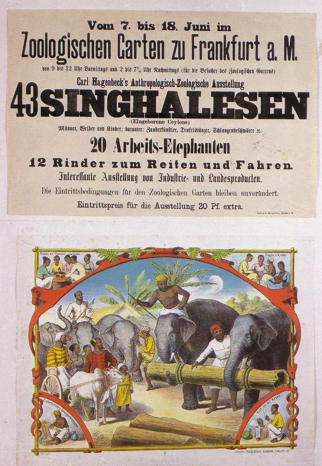 Aufarbeitung einer Epoche: Der Frankfurter Zoo und die „Völkerschauen“