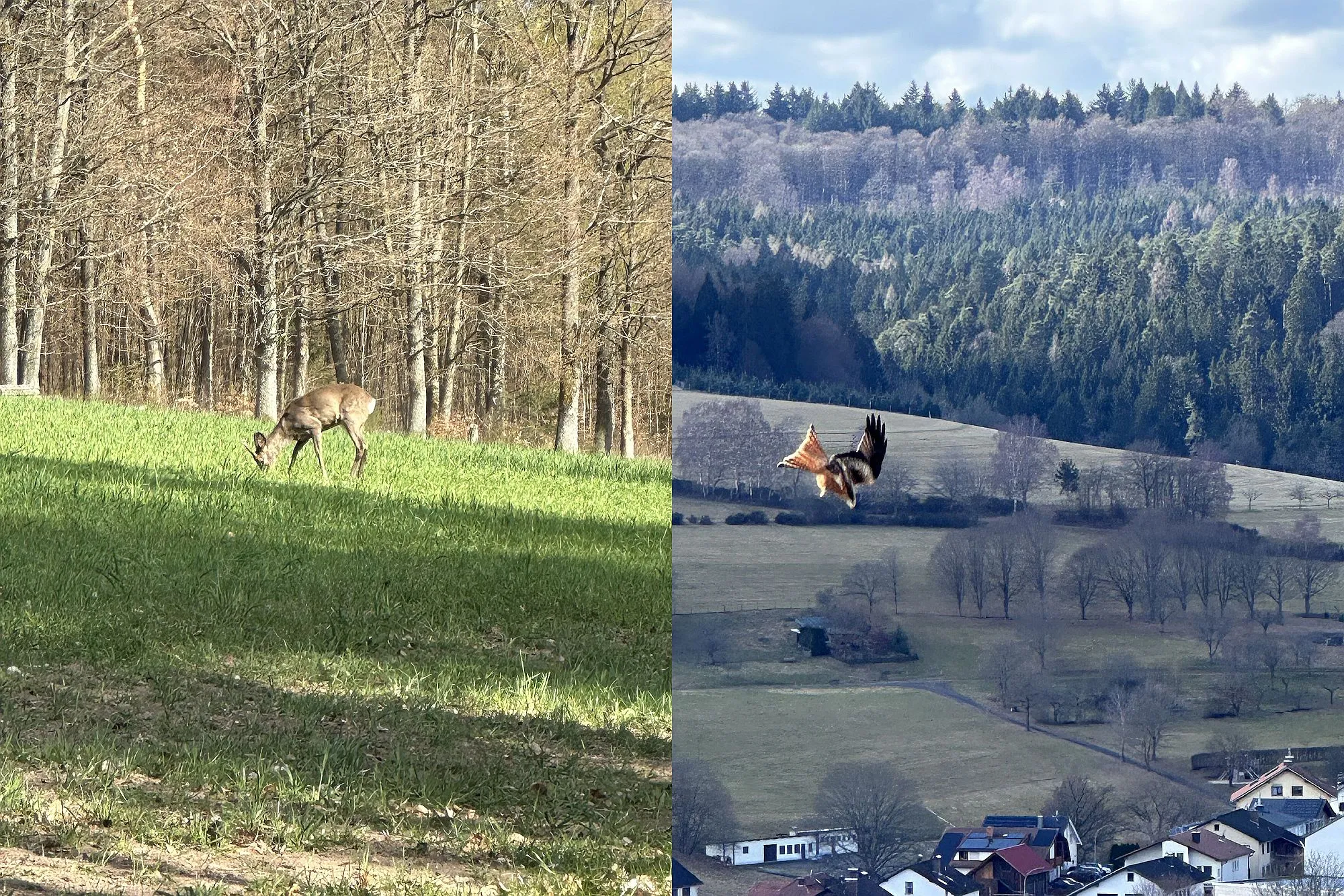 Leser-Fotos: So schön ist der Main-Kinzig-Kreis