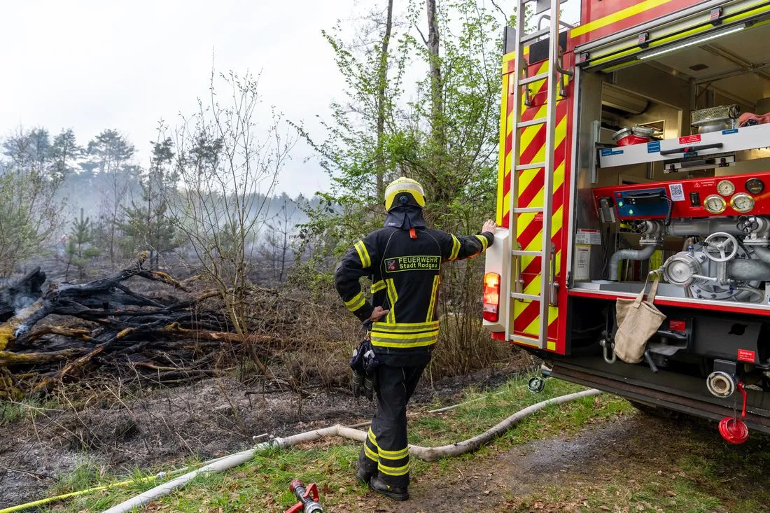 Seligenstadt: Polizeihubschrauber lokalisiert Waldbrand