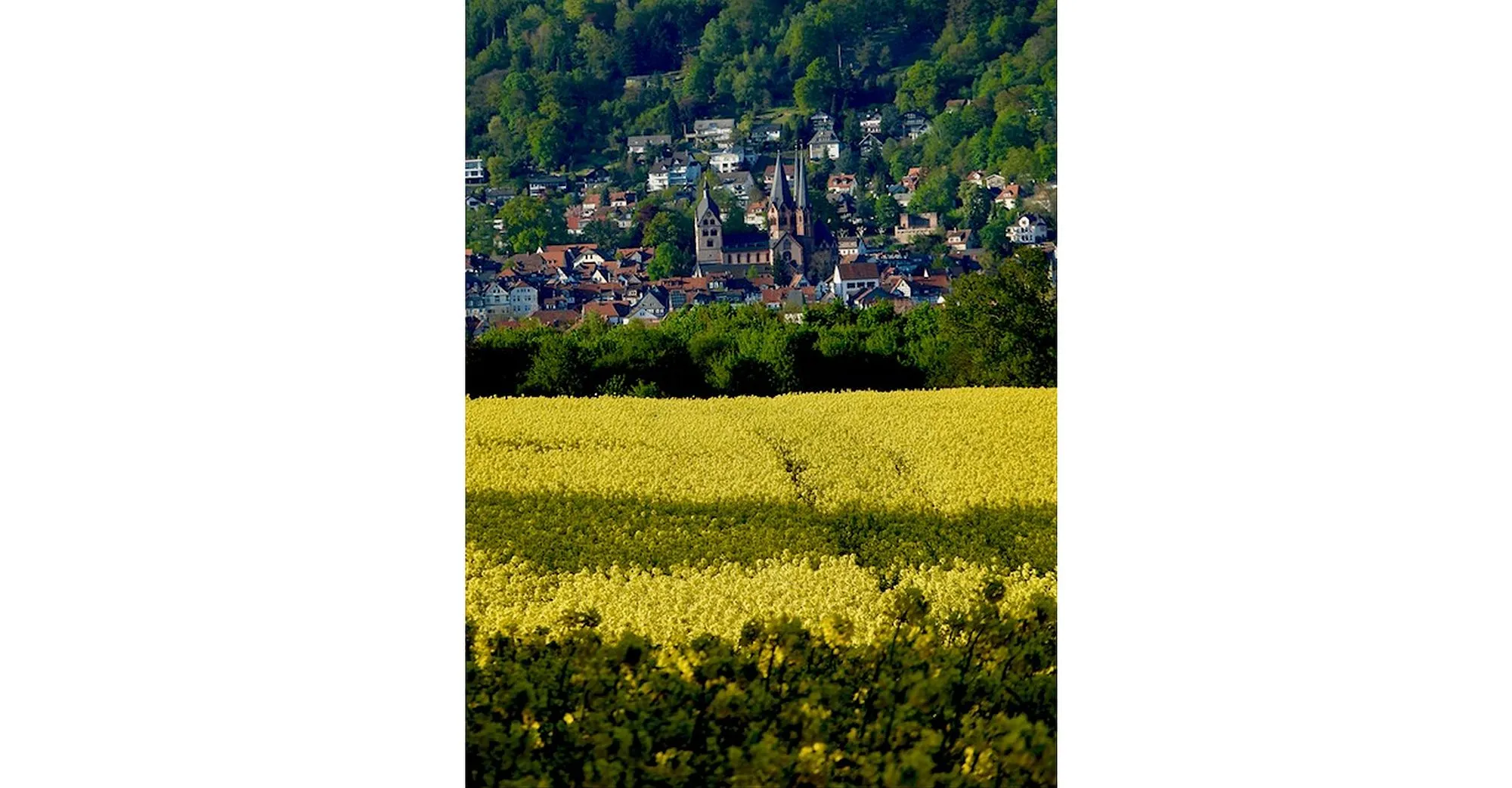 Leser-Fotos: So schön ist der Main-Kinzig-Kreis
