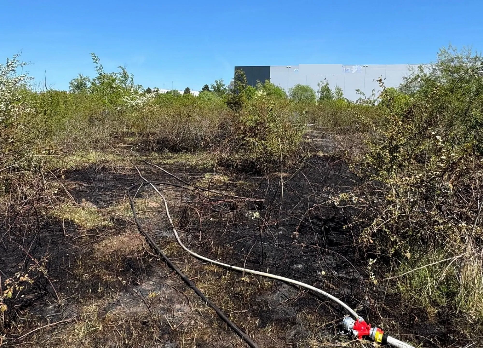 Hanau: Feuerwehr stoppt Vegetationsbrand in Großauheim