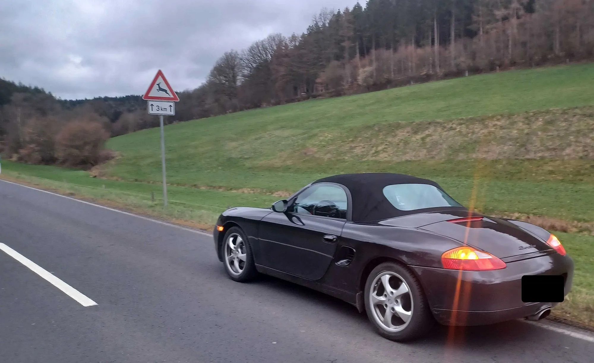 Wild auf der Straße: Richtig handeln