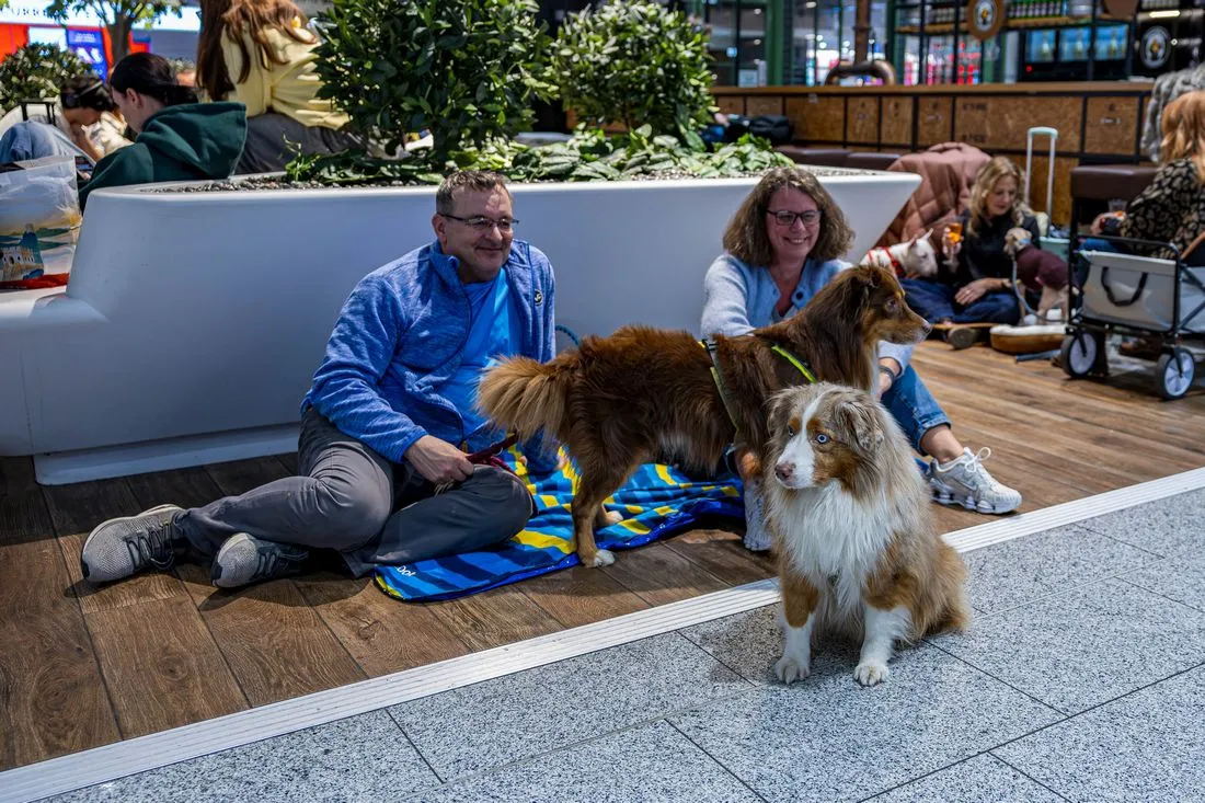 Silvesternacht: Hunde finden Zuflucht am Frankfurter Flughafen