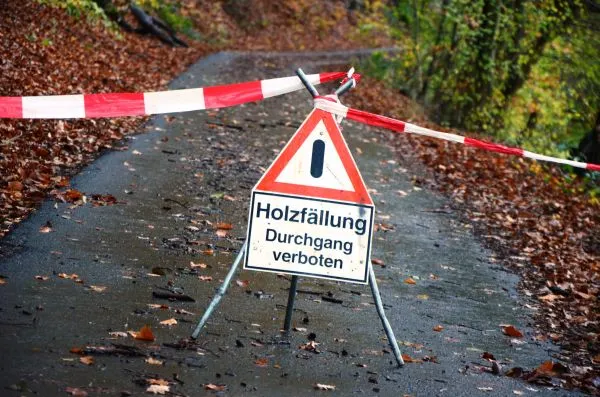 Holzeinschlag im Gerichtswald Altenhaßlau
