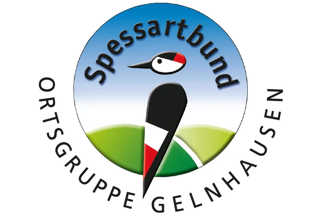 Wanderung des Spessartbundes auf der „Krumbeernschleife“