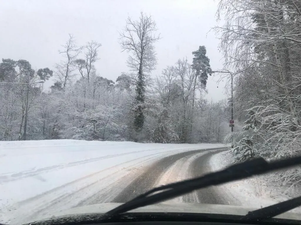 Ergebnisse der "Stunde der Wintervögel"
