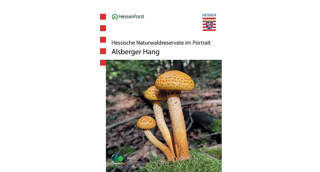 Hessische Naturwaldreservate im Portrait: Alsberger Hang