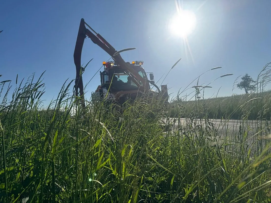 Main.Kinzig.Blüht.Netz: Hessen Mobil mäht insektenfreundlich