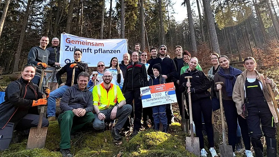 VR Bank Main-Kinzig-Büdingen pflanzt 550 Setzlinge im Linsengerichter Wald